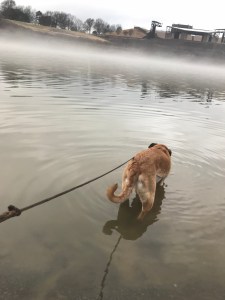 Favorite place, 1-11-18