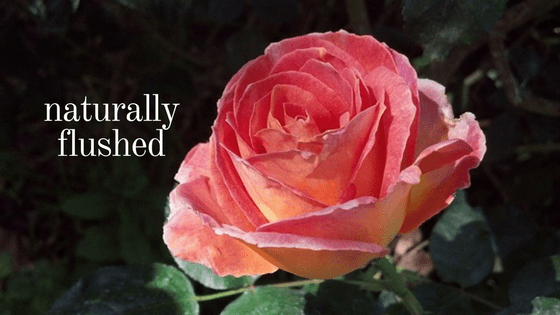 natural flush